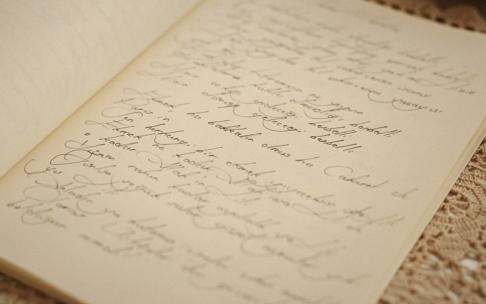 What the Diaries Actually Are